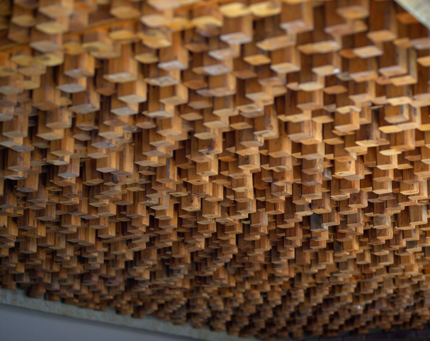 The Wooden Blocks