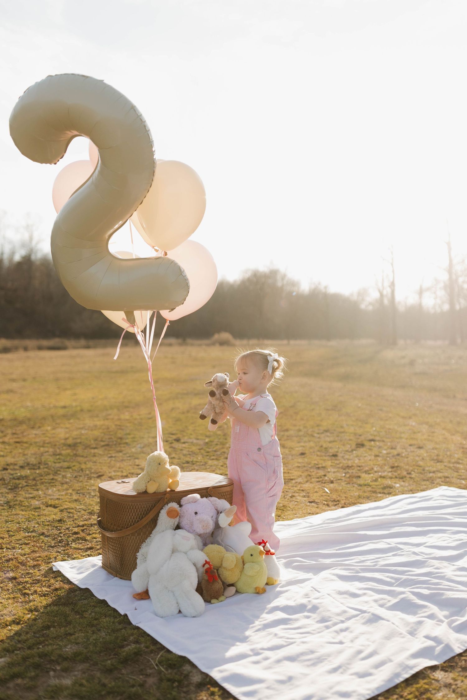 Arkansas Newborn Photographer, Northwest Arkansas Newborn Photographer, Maternity Photographer, Milestone Photographer