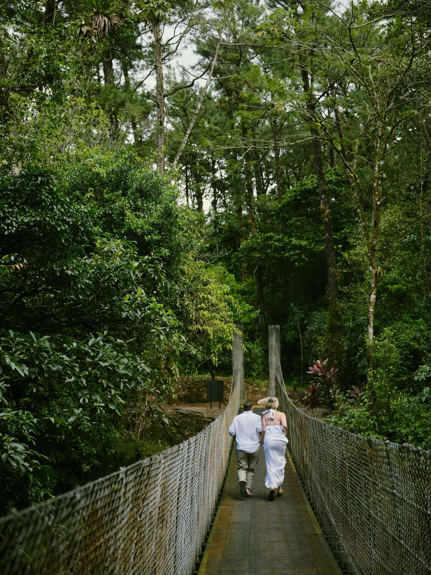 Couple in wedding attire walking hand-in-hand across a suspension bridge through a lush tropical rainforest.