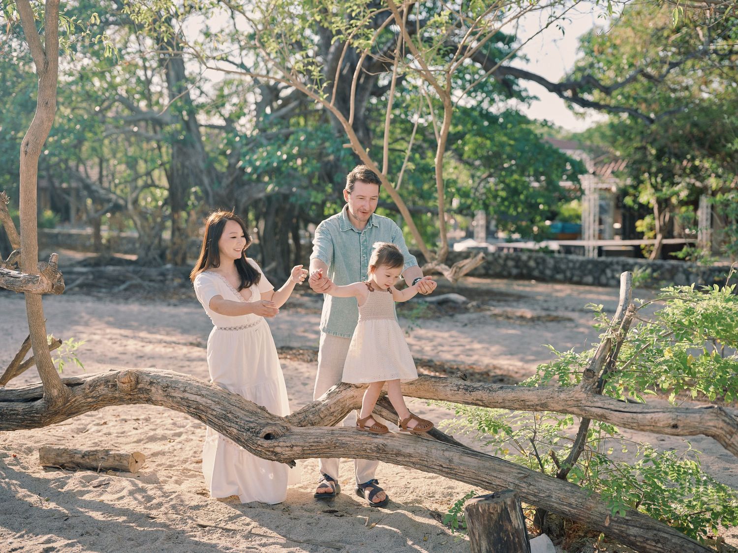 Family of four playing on a fallen tree trunk on a sandy beach surrounded by tropical trees.