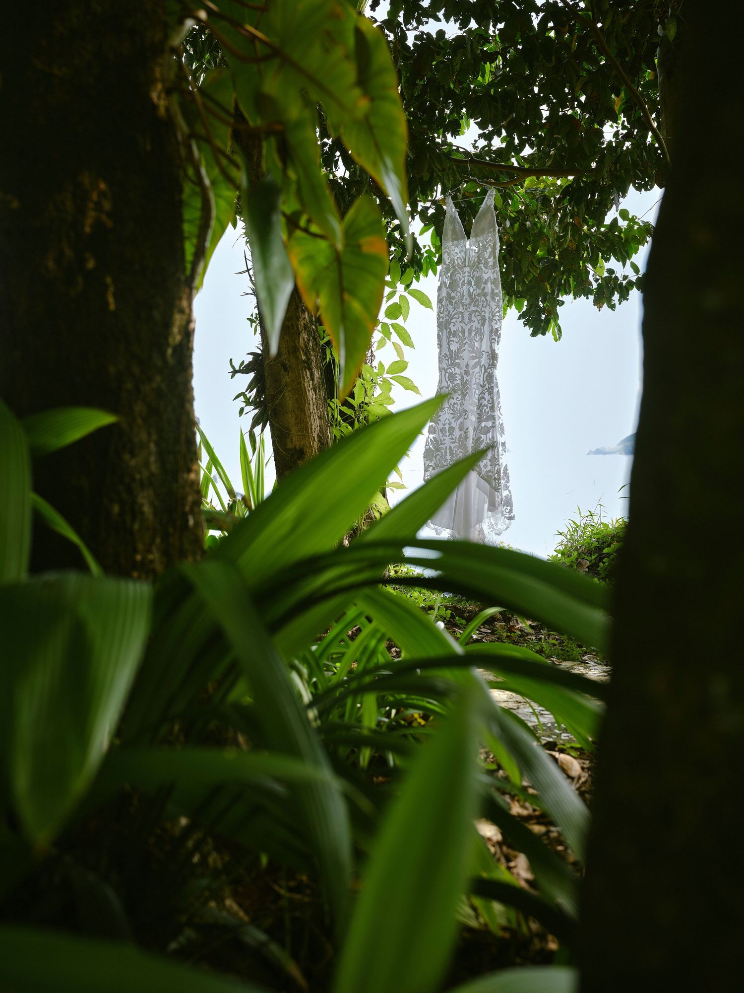 Elegant white wedding dress hanging between tropical trees with ocean view background.
