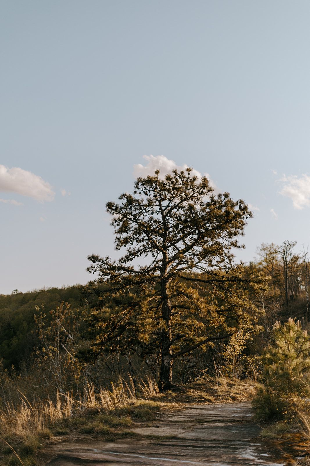 Bear Rock Elopement in Southwest Virginia