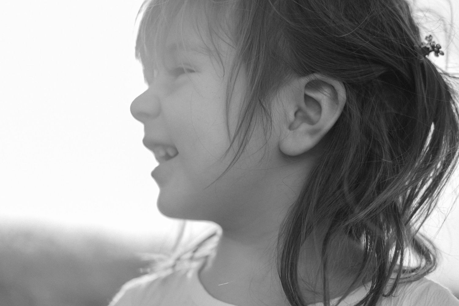 Family Session at Max Patch Trail in North Carolina