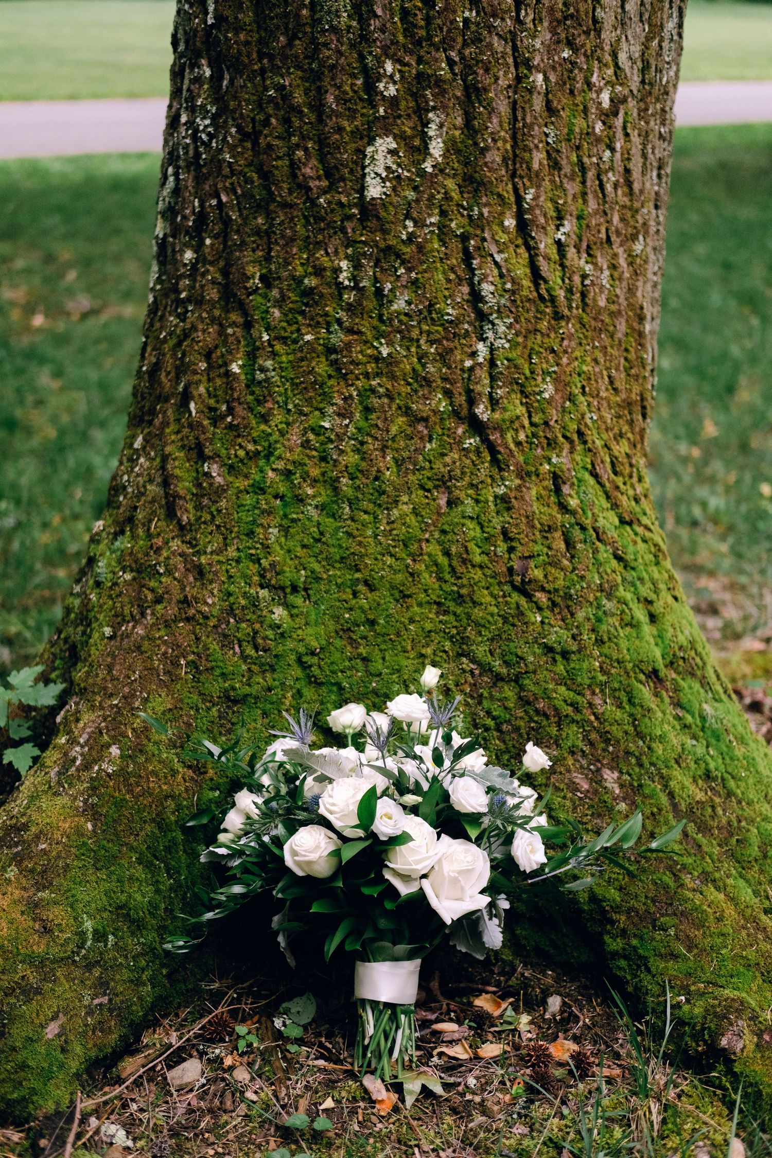 Documentary style wedding and family photographer in East Tennessee. Serving Johnson City, Kingsport, and Bristol, Tennessee.