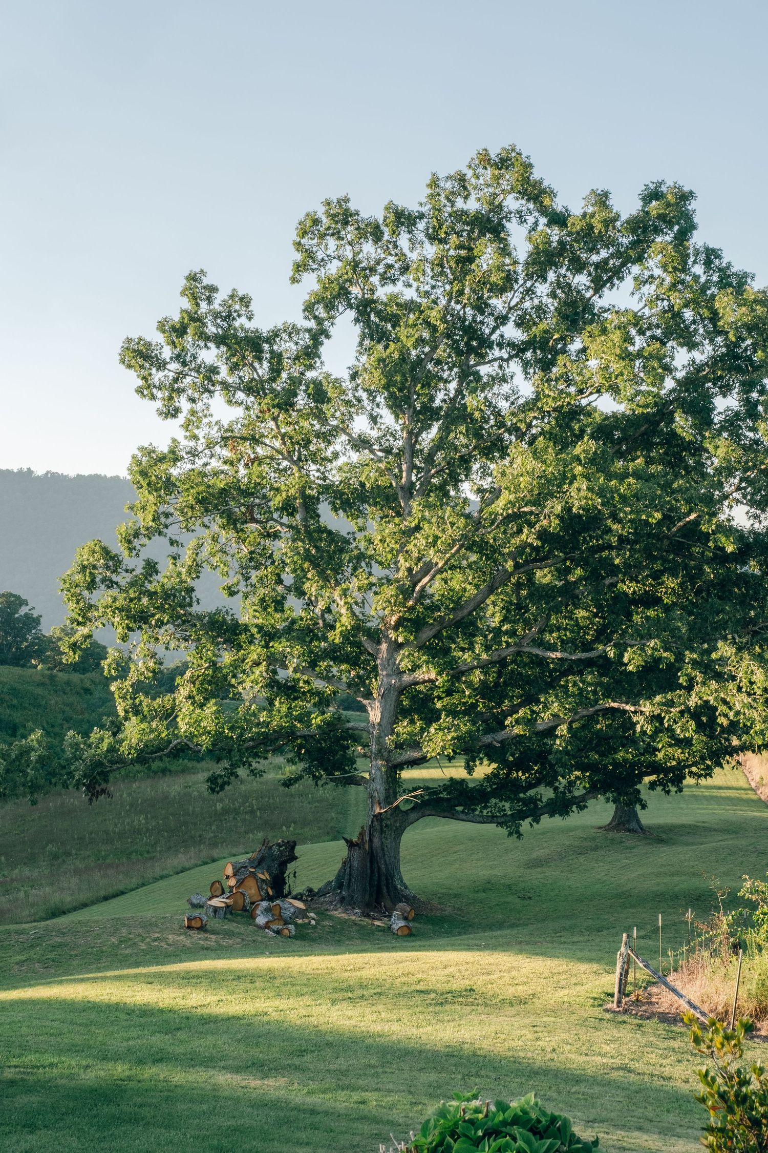North Carolina Wedding Photographer The Loralei Inn