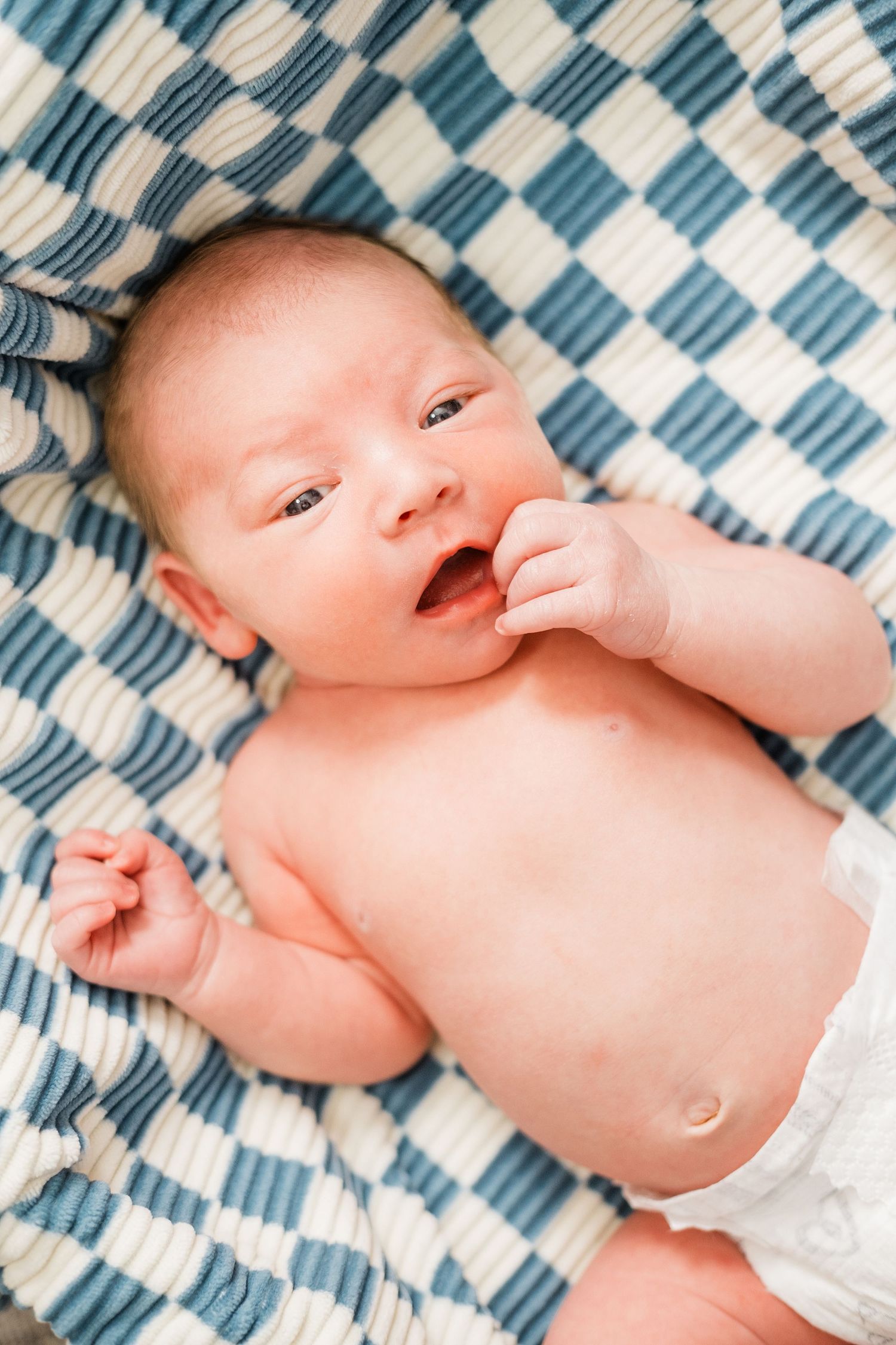 Johnson City Newborn Photographer
