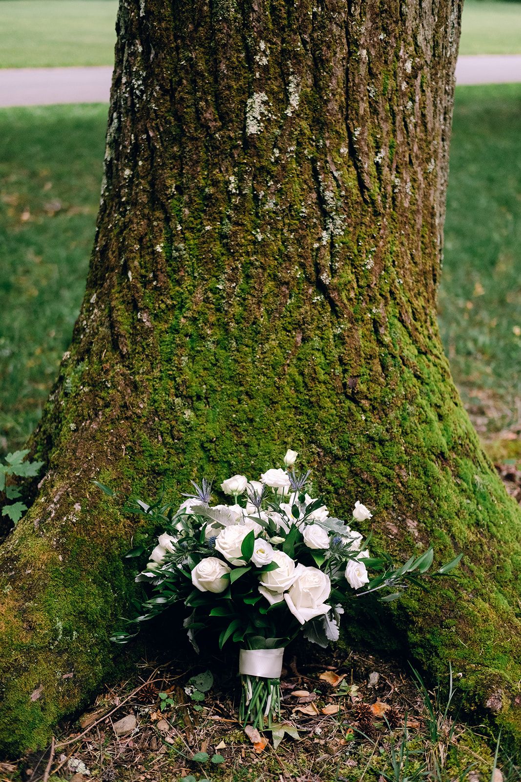 The Camp at Buffalo Mountain Wedding | East Tennessee Wedding Photographer