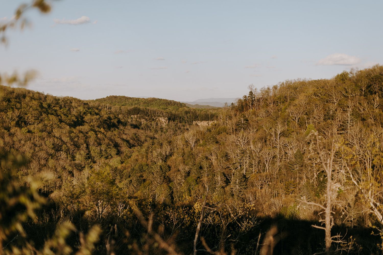 Bear Rock Elopement in Southwest Virginia
