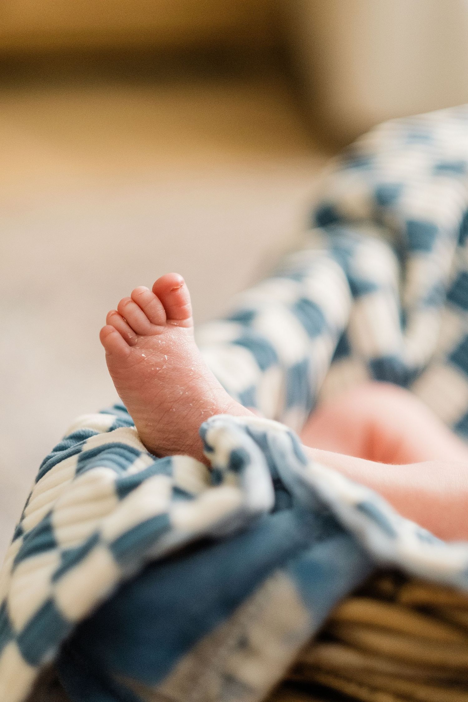 Johnson City Newborn Photographer
