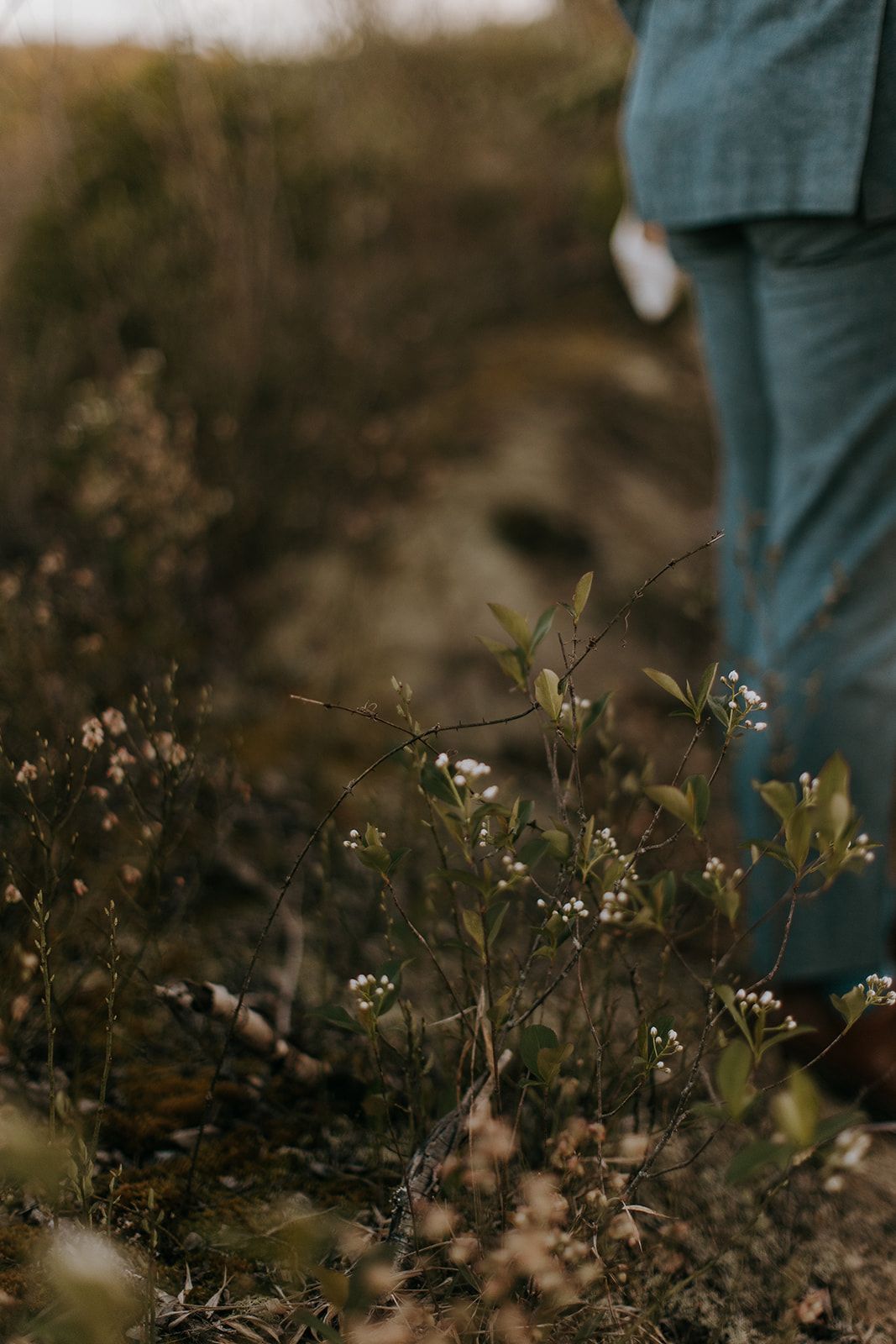 Bear Rock Elopement in Southwest Virginia