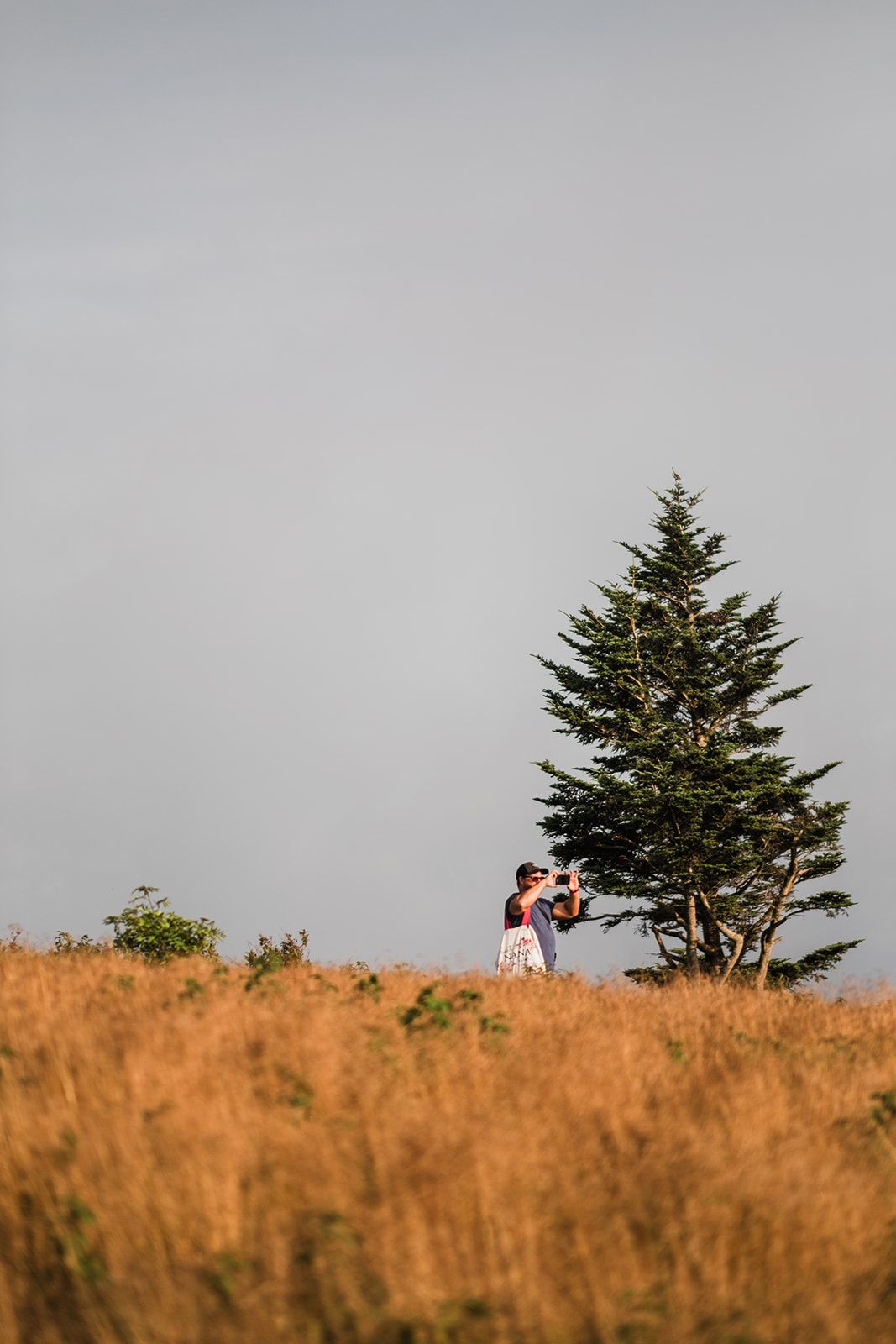 Roan Mountain Elopement in Tennessee