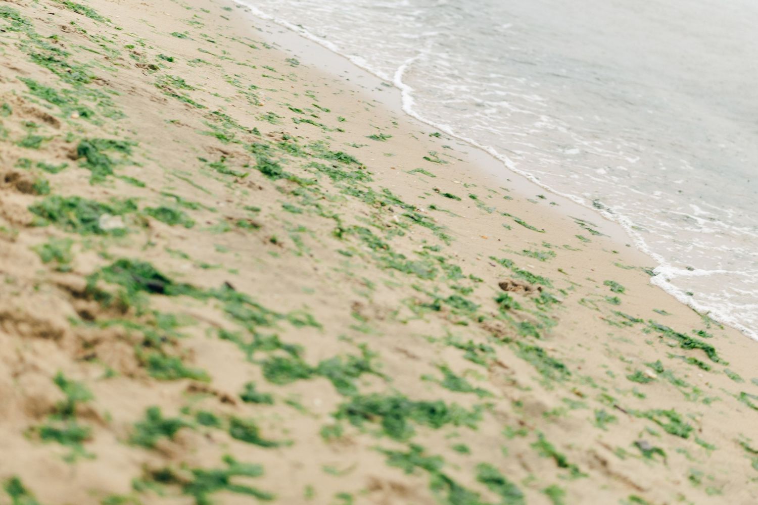 A romantic rainy engagement session at Terrapin Nature Park in Maryland.