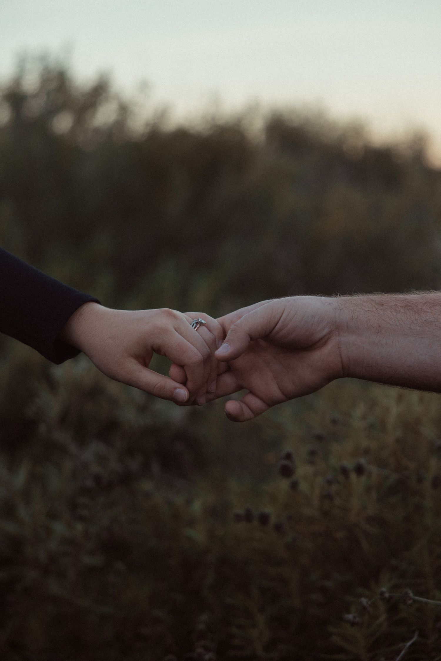 Close-up of two hands gently touching, one wearing a ring, against a softly blurred field at dusk.
