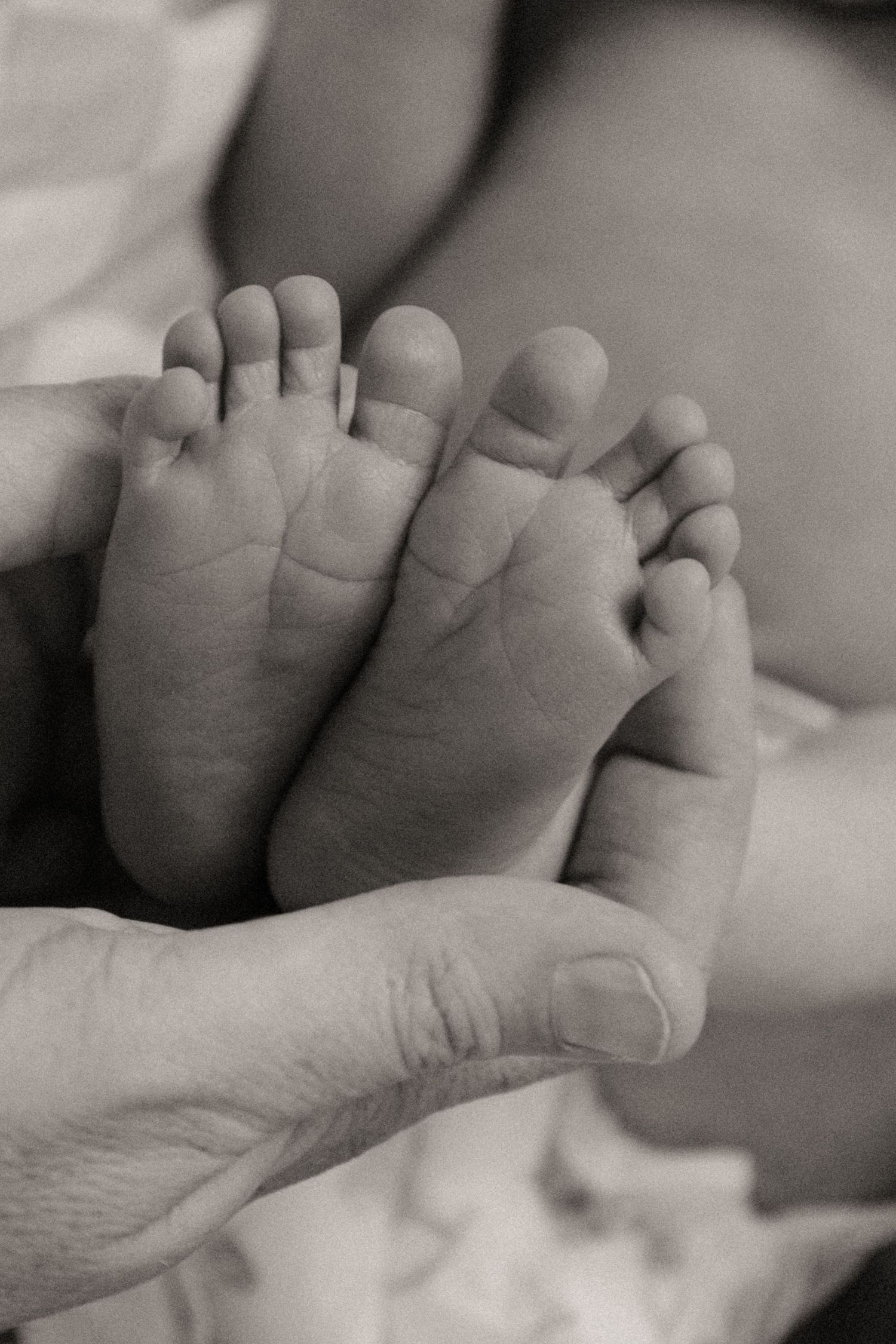 A parent's hand gently cradles a newborn baby's tiny feet in a tender black and white close-up.