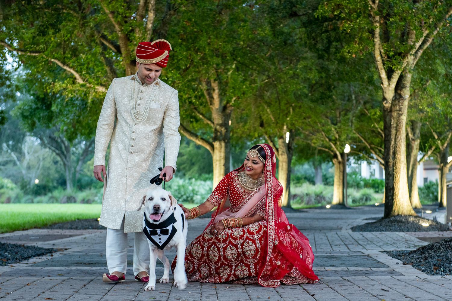 South Asian bride in red lehenga poses with groom and their husky dog on a tree-lined path.