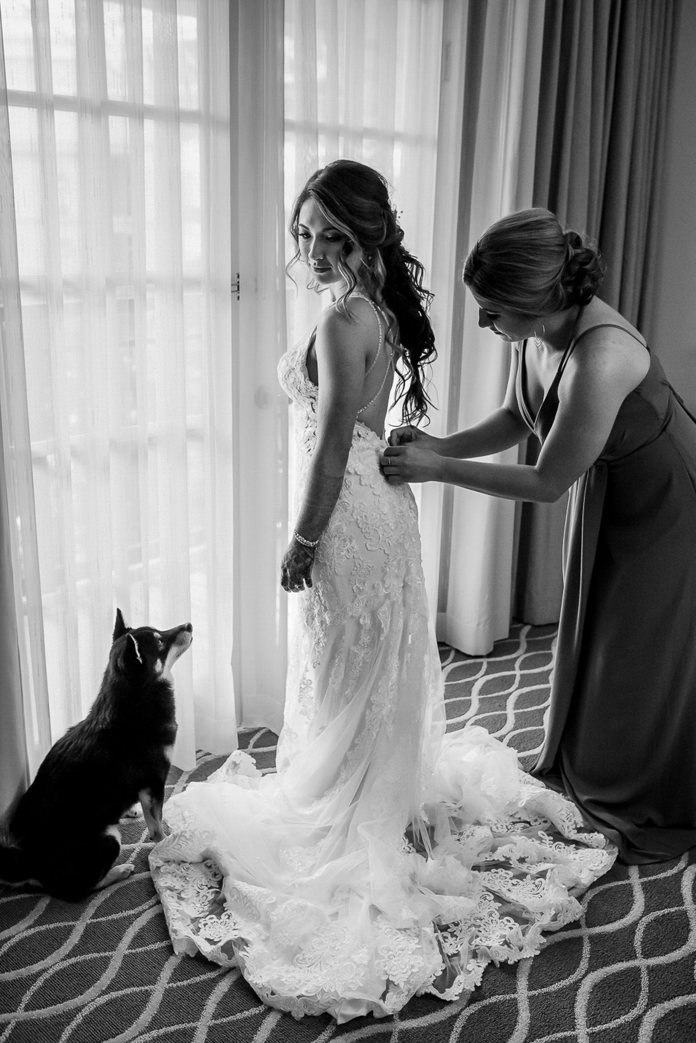 Bridesmaid helps adjust wedding dress while black cat watches near sunlit window.