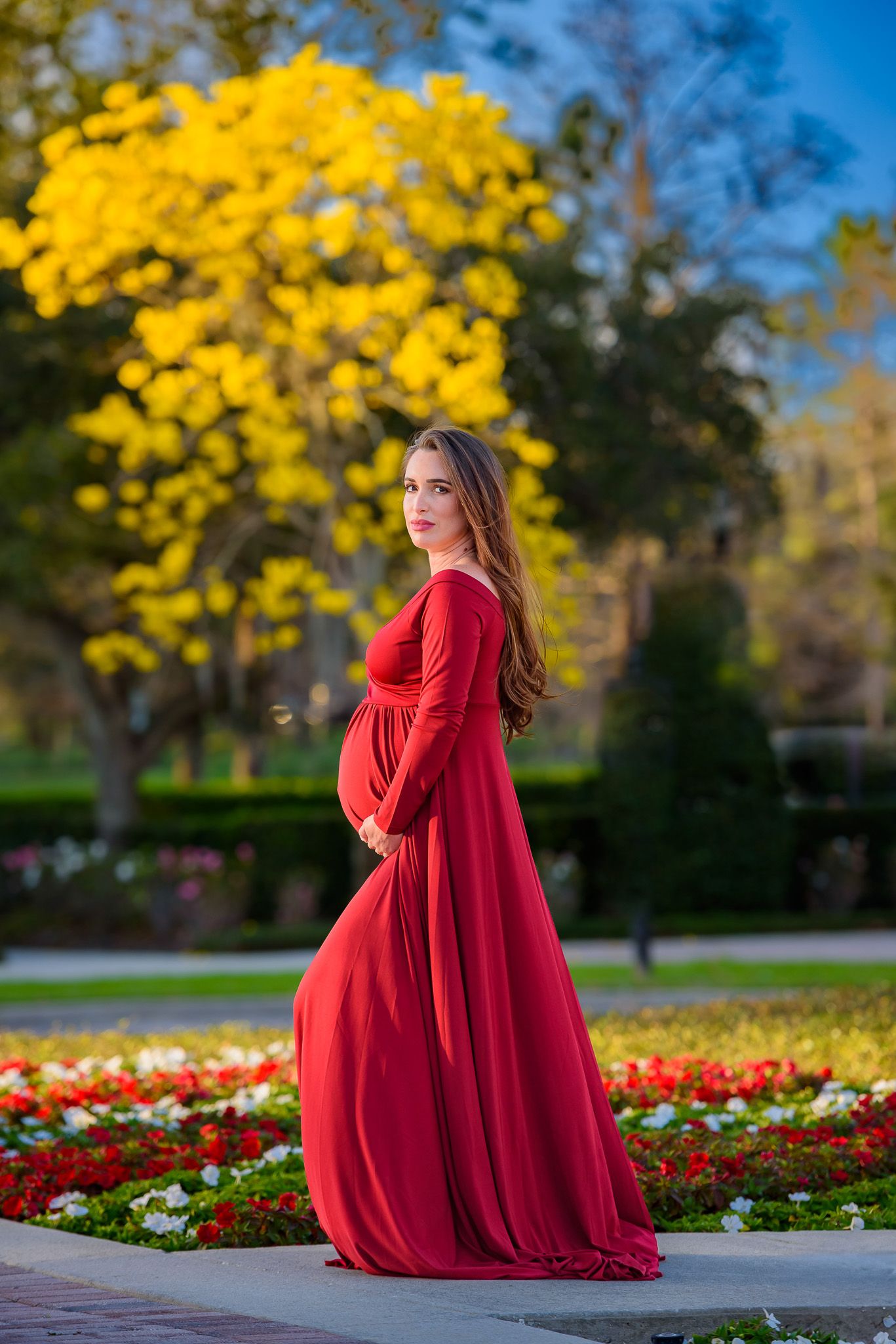 An elegant maternity photoshoot featuring a red gown against yellow flowering trees and landscaped gardens.