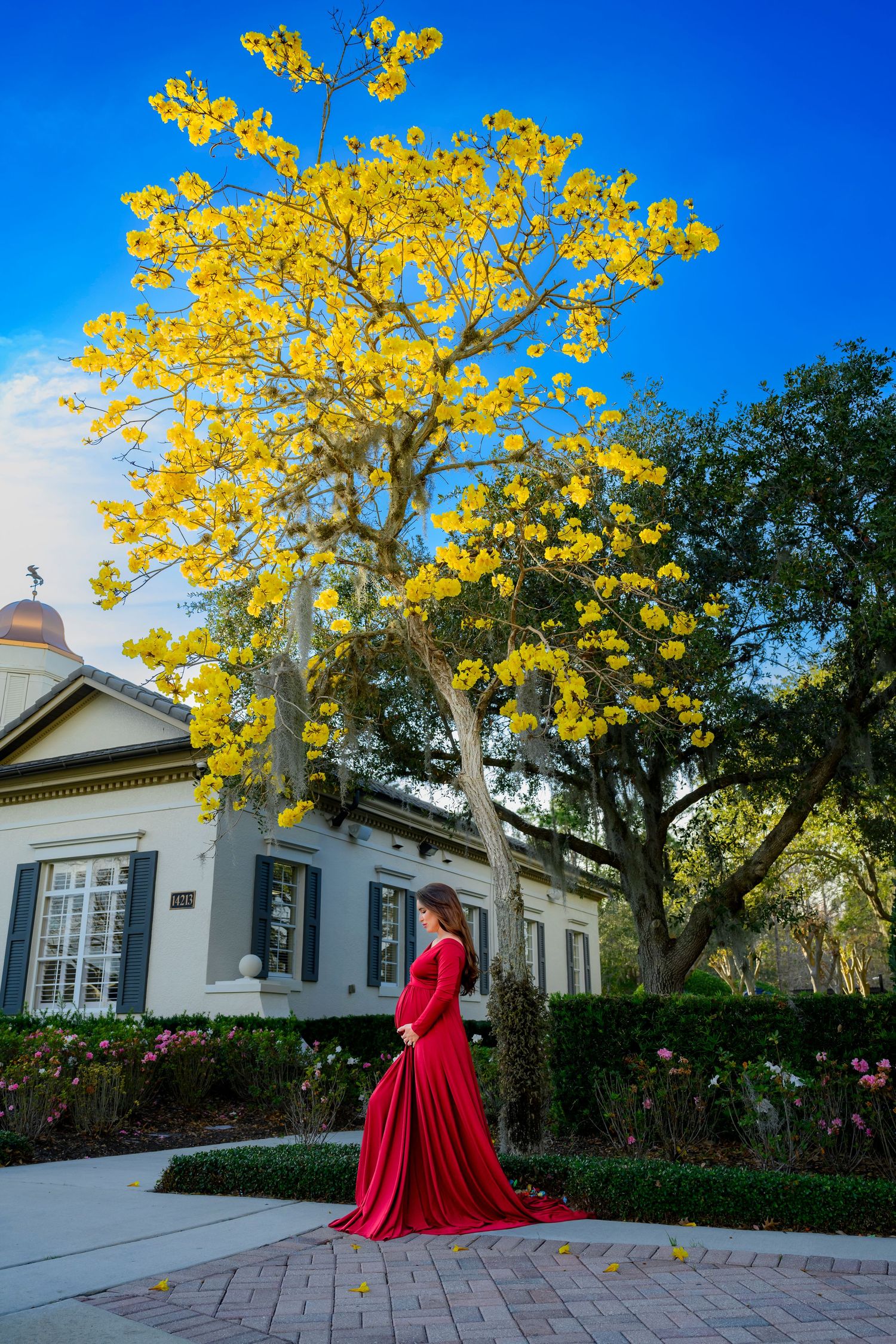 Person in flowing red gown poses under blooming yellow tree in front of white building.