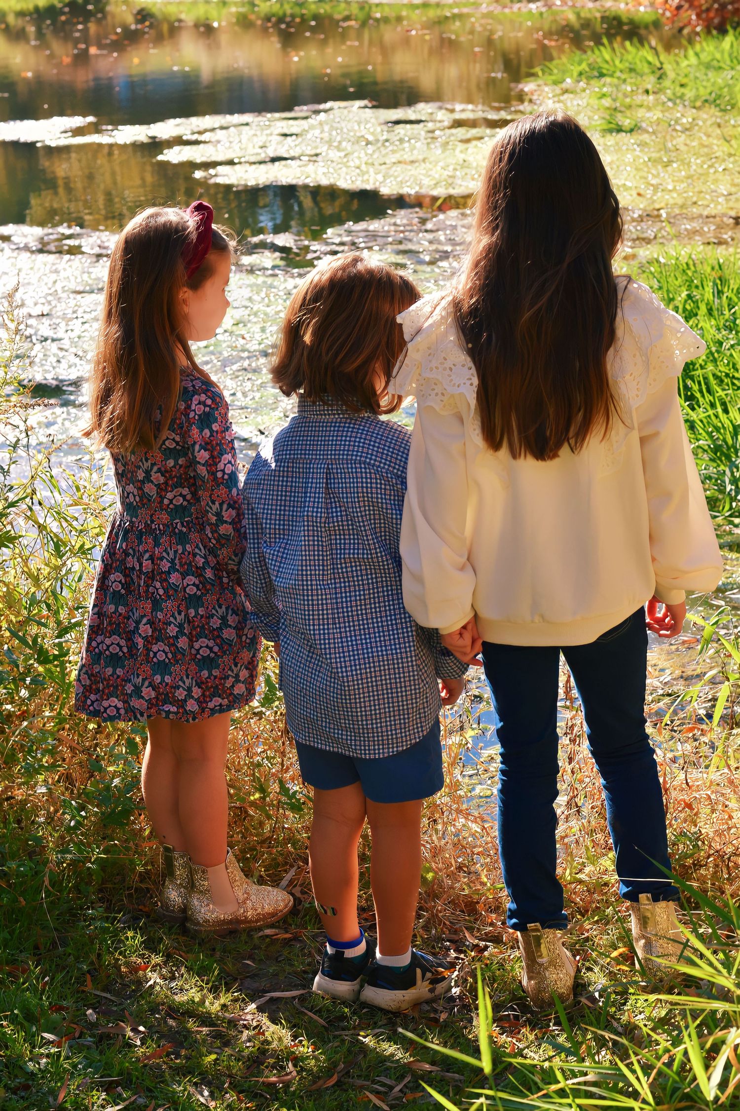 Children sitting along a pond edge viewing nature in summer.