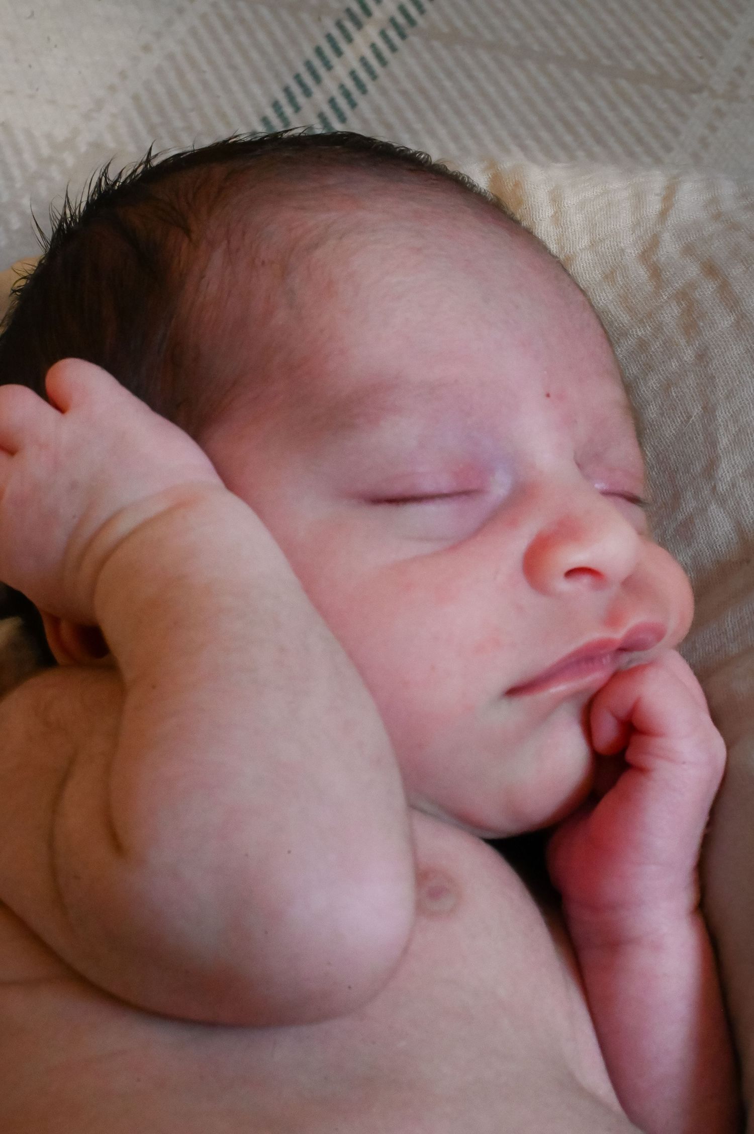Peaceful close-up of sleeping newborn with delicate features.