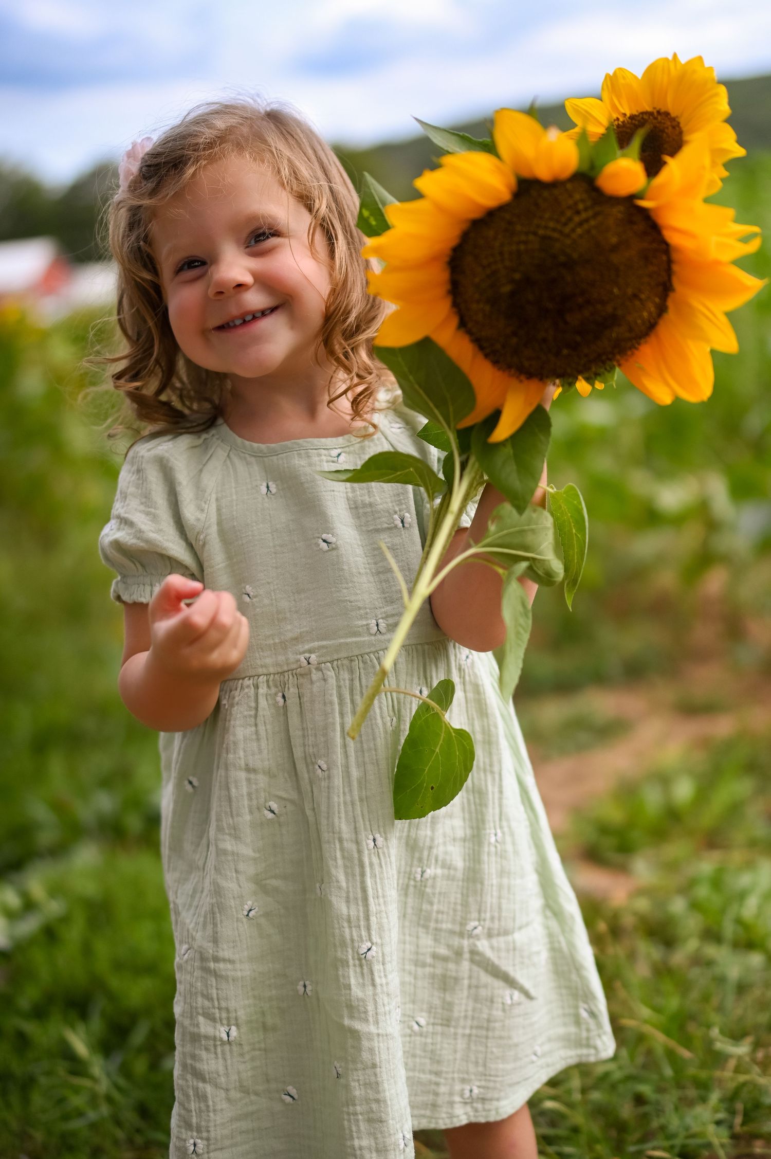 A summer garden setting with golden sunflowers and soft clouds in the background.