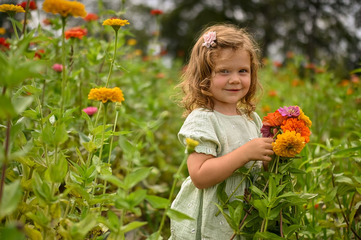 A bright garden scene with blooming marigold flowers and greenery in the sunlight.