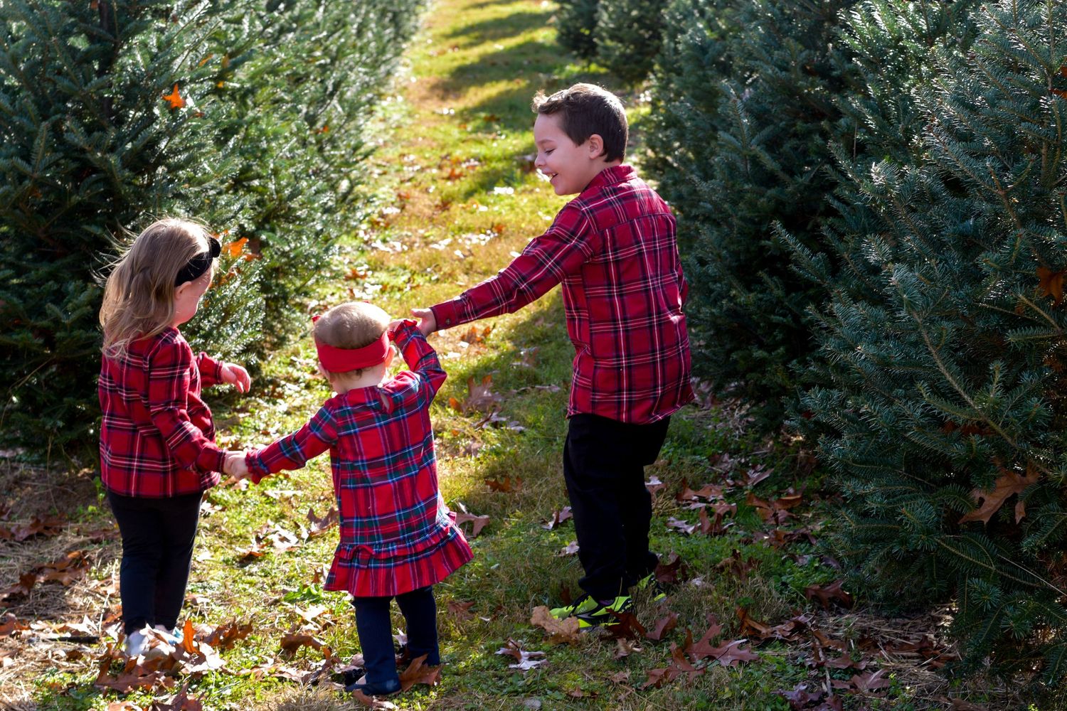 Family walks through Christmas tree farm wearing red plaid shirts on sunny autumn day.