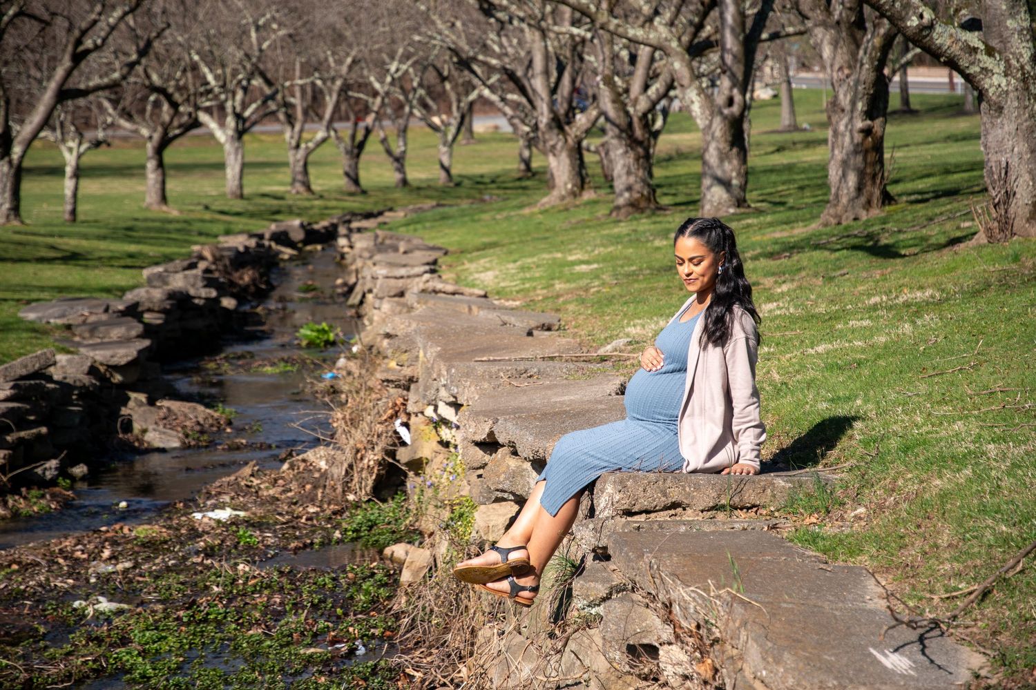 Natural outdoor setting with trees and pathway during golden hour.