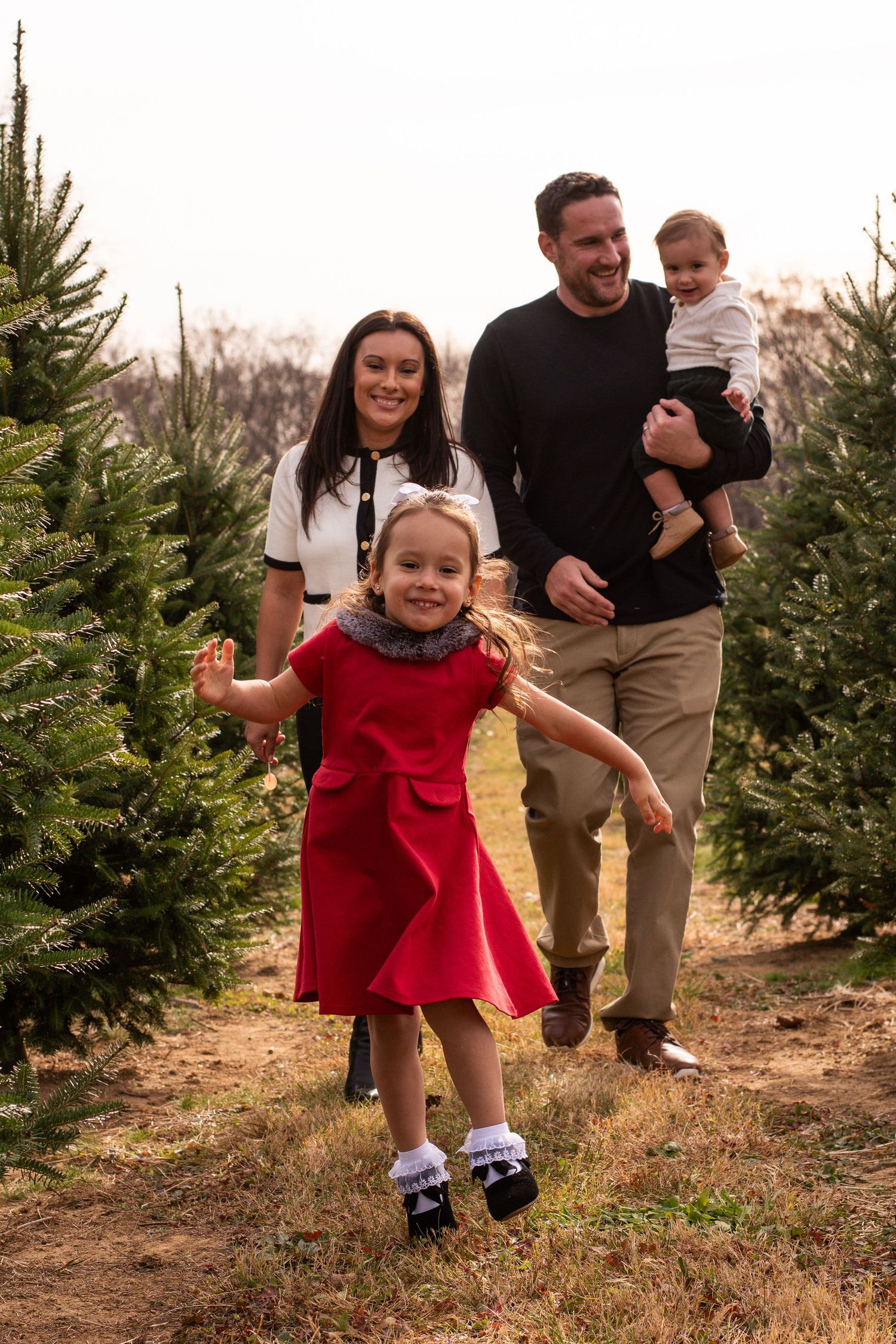 Family walking through Christmas tree farm with child in red dress running ahead.