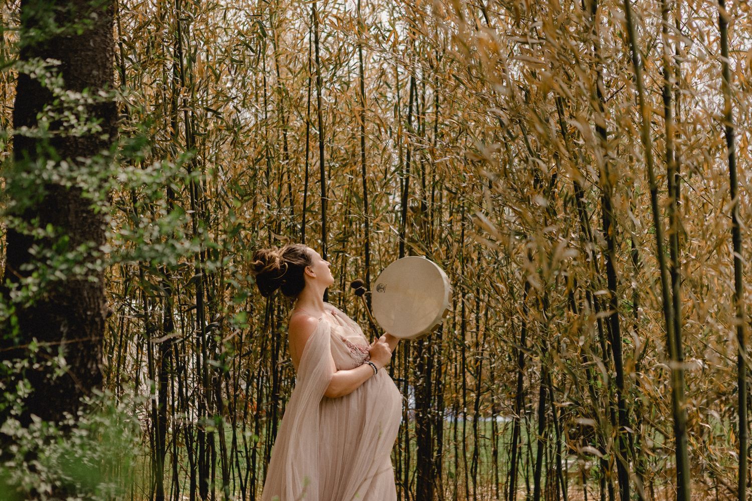 Ethereal portrait of a woman with a hand drum among golden trees — spiritual and grounded fine art photography captured by ja’nicole;art