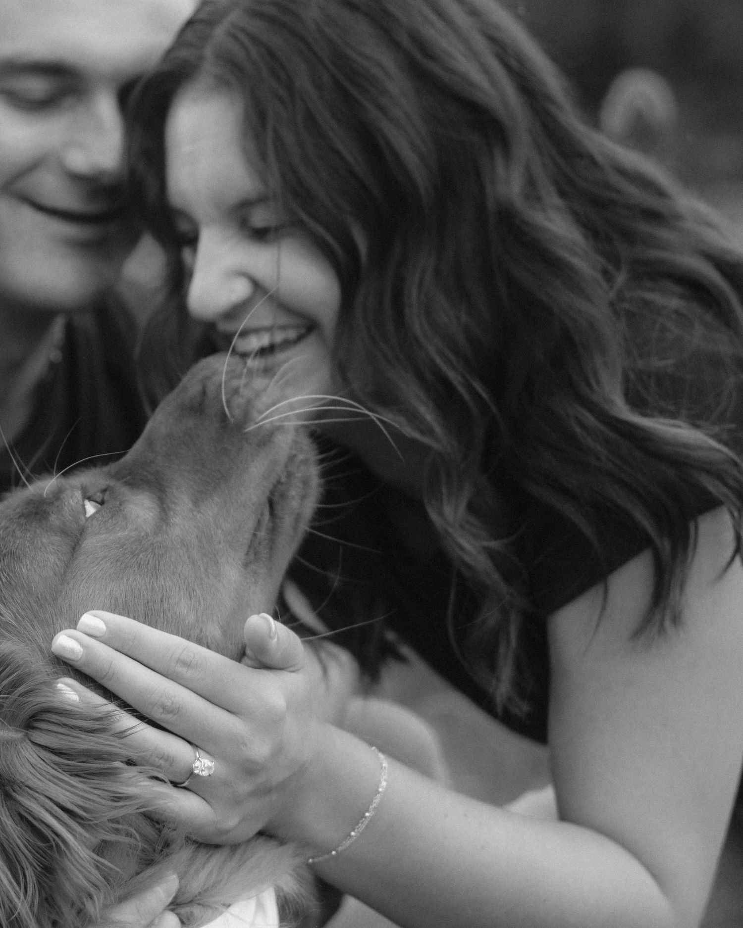 Black and white photo of a joyful couple with their golden retriever dog licking the bride's hand.