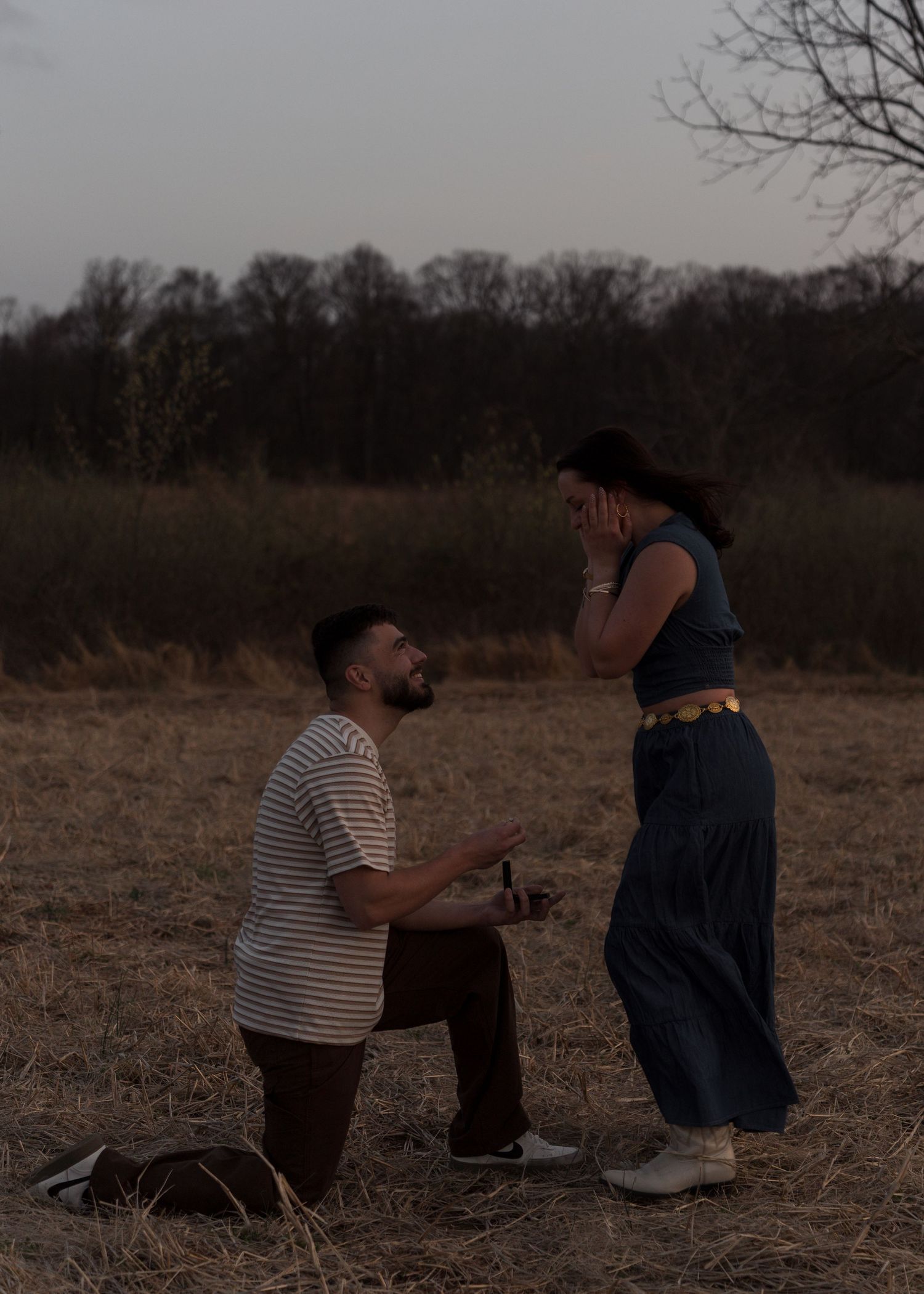 Emotional marriage proposal at sunset in open field, woman covering face in surprised joy.