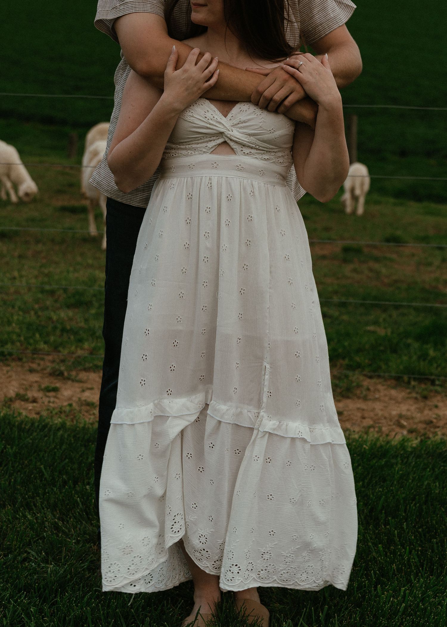 Couple embracing in a field with sheep, woman wearing a white eyelet midi dress.