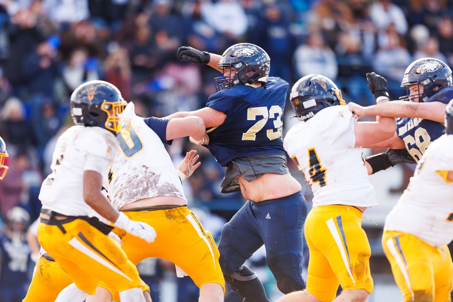 Football players in navy and yellow uniforms battling during intense game action.