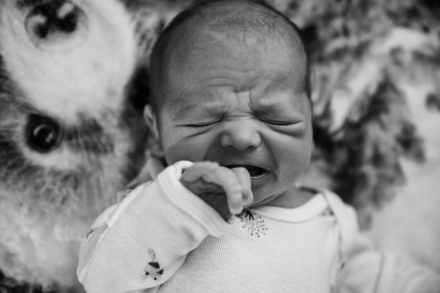 Lifestyle Newborn Session in Florence, KY