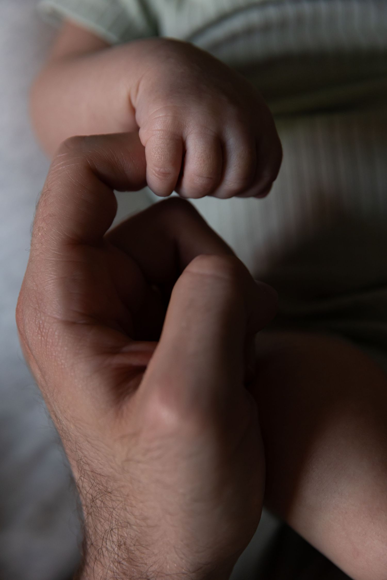 Lifestyle Newborn Session
