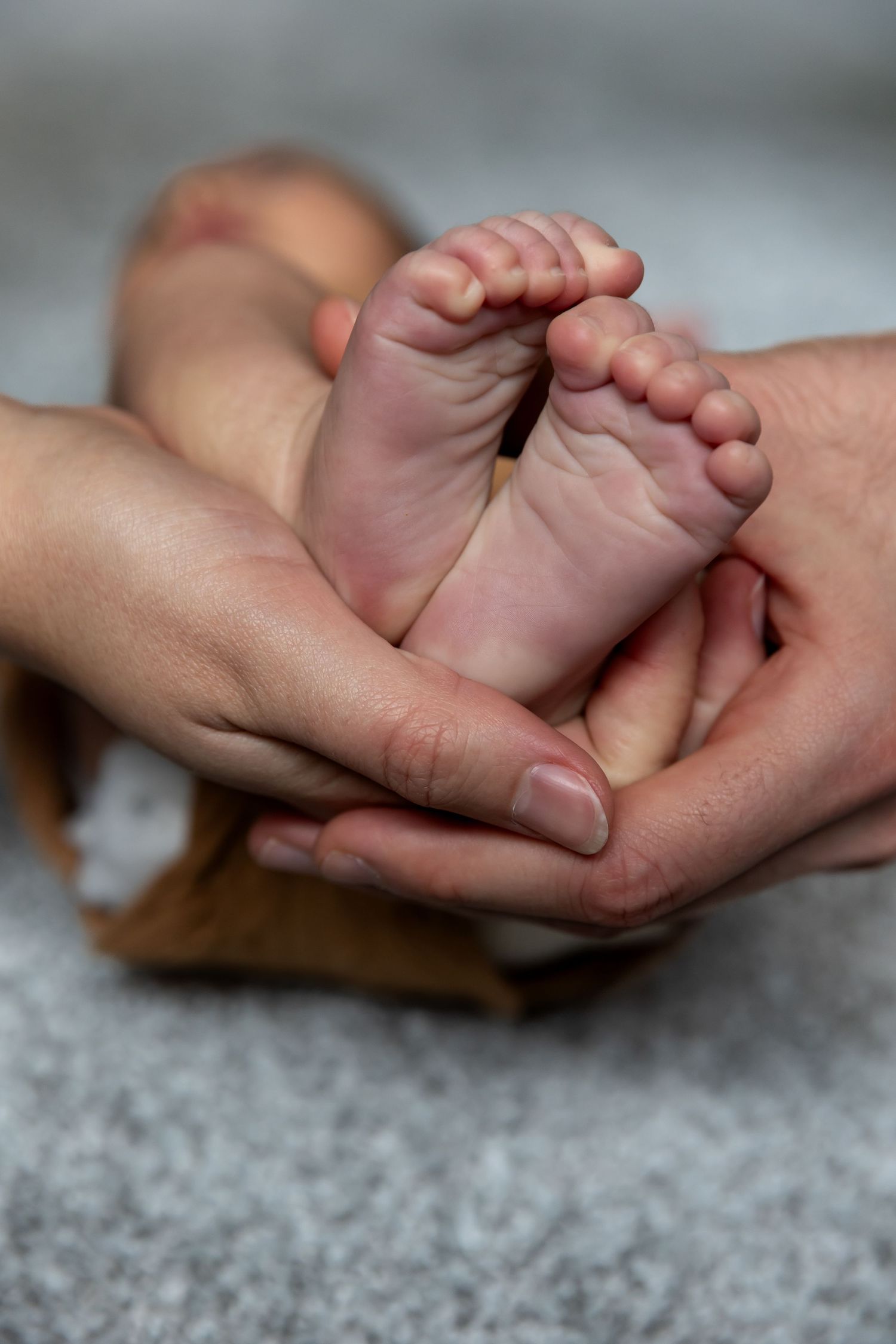 Lifestyle Newborn Session