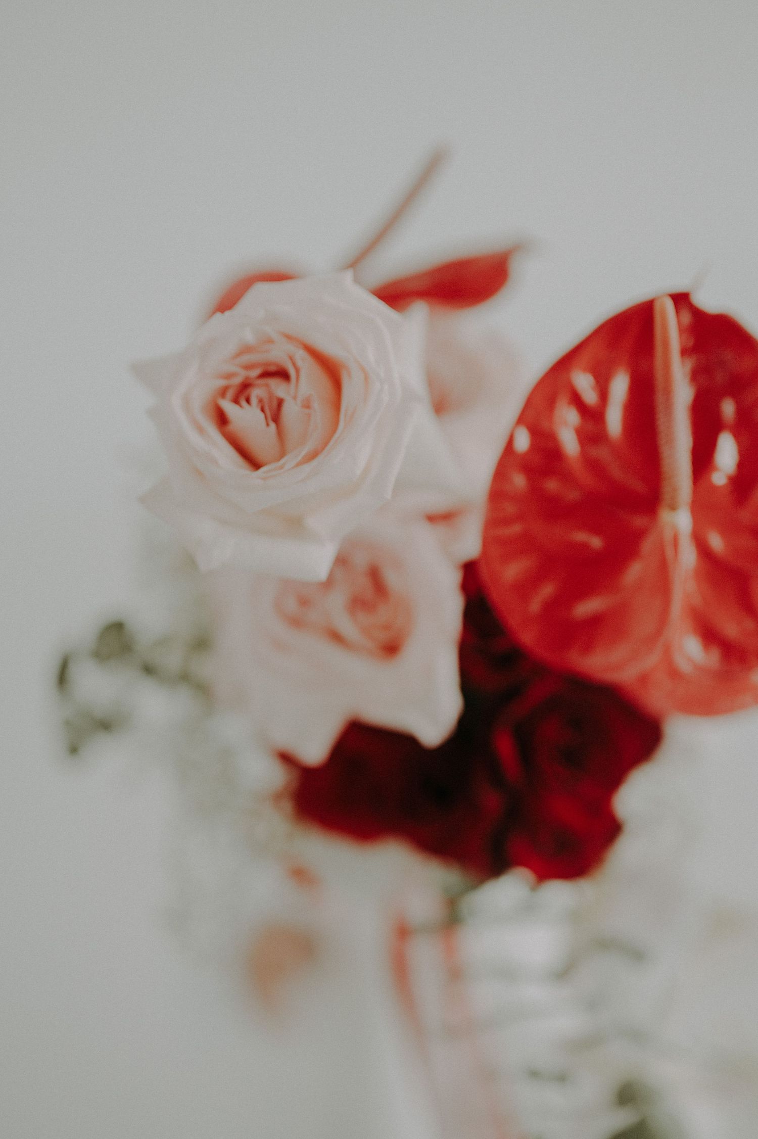 A delicate arrangement of pink and red roses with anthurium flowers against a white background.