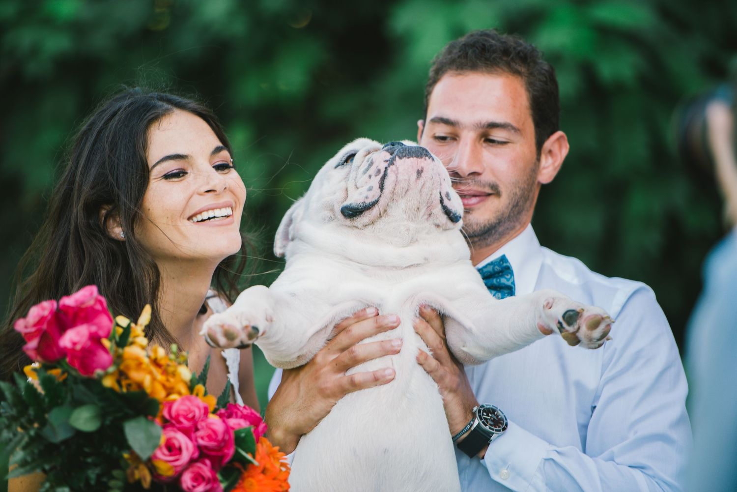 A couple shares a joyful moment with their white bulldog during their wedding photoshoot.