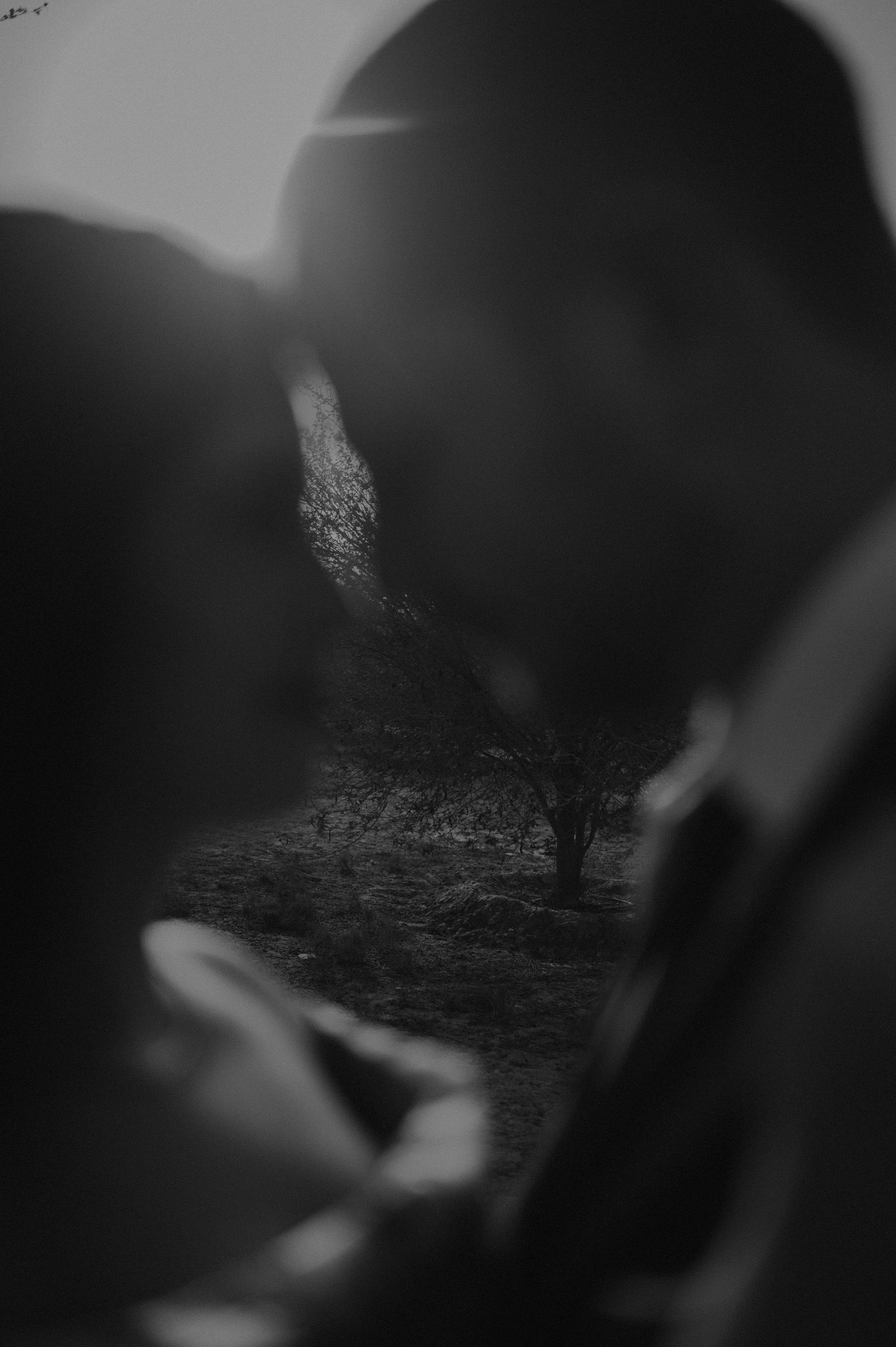 Artistic black and white photo with blurred natural elements in background.