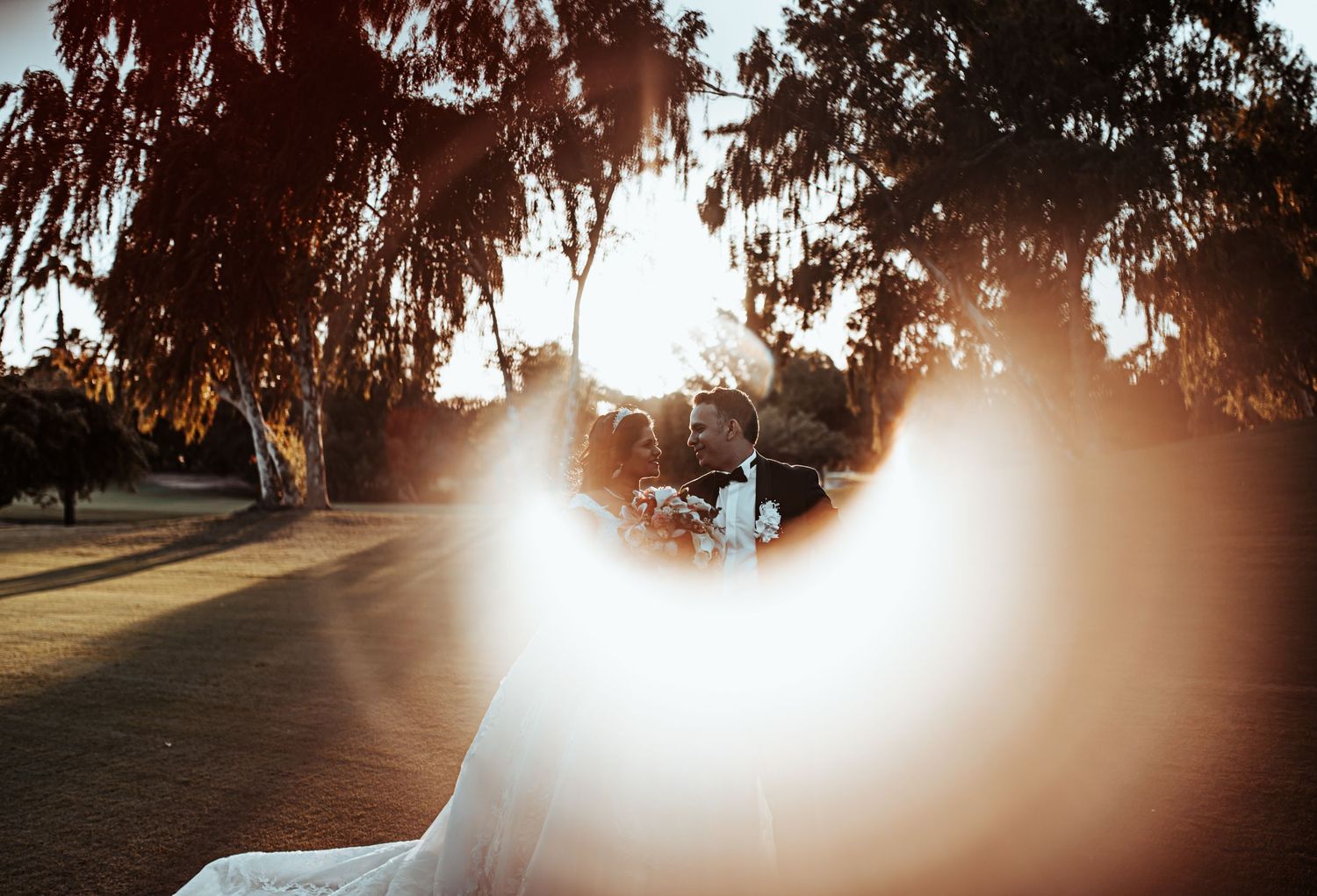 A silhouetted sunset photo with dramatic backlighting through trees.