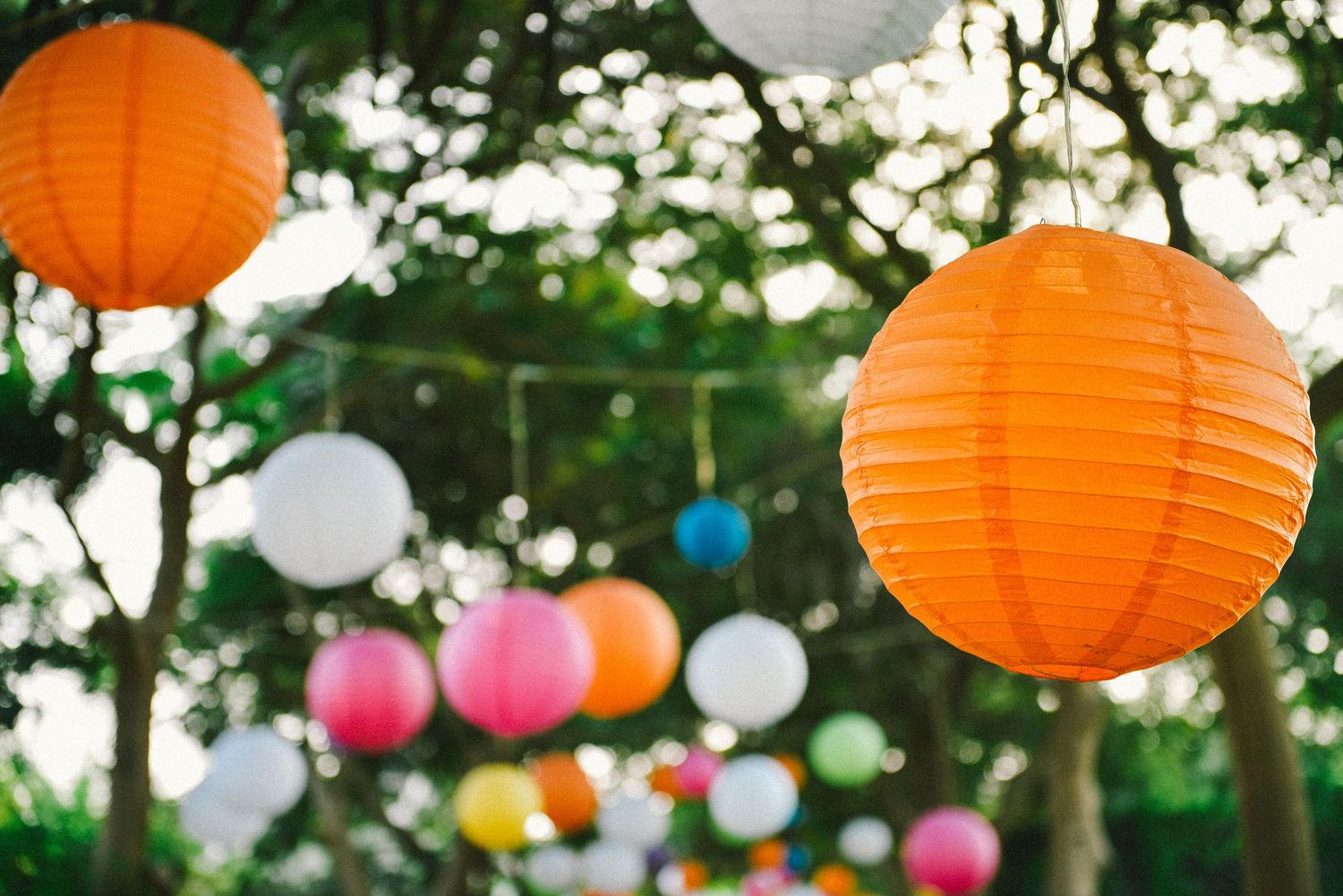 Outdoor party decoration with colorful paper lanterns hanging among trees.