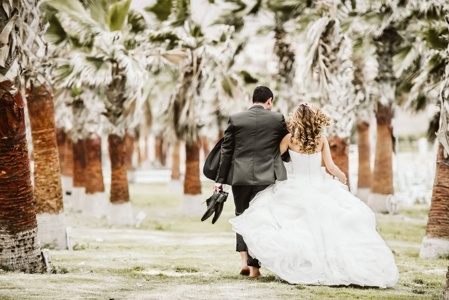 Romantic photoshoot among palm trees in outdoor setting.
