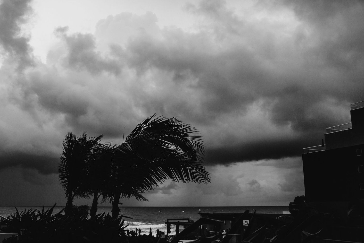 Dark storm clouds and palm trees silhouetted against a dramatic gray sky.
