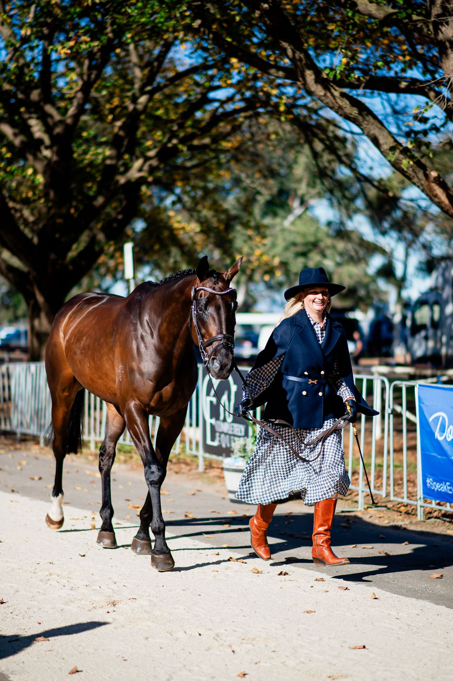 Horse and rider practicing dressage moves near orange cones under tree shade.