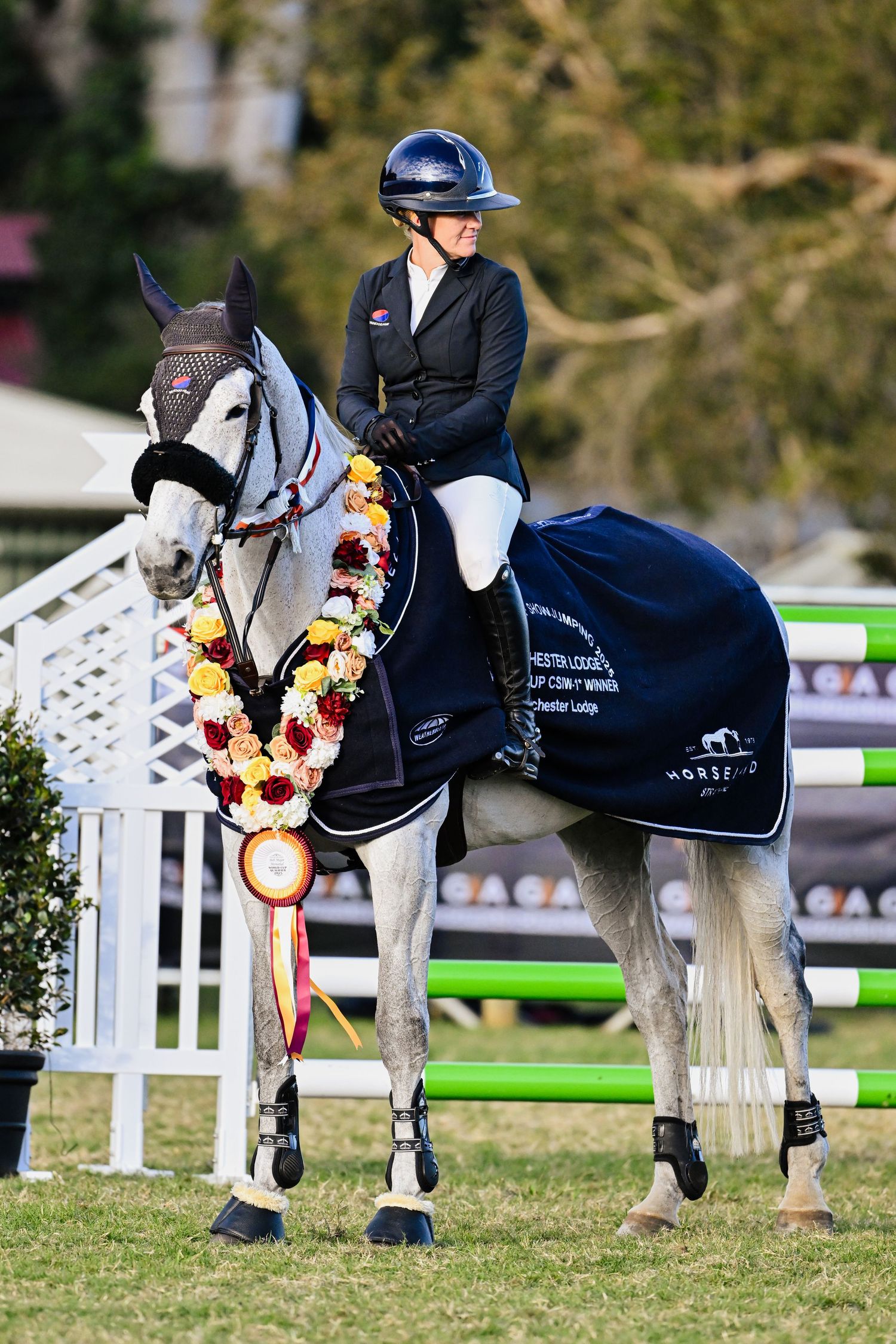 Competition horse wearing victory garland and blue blanket with rider in formal attire.