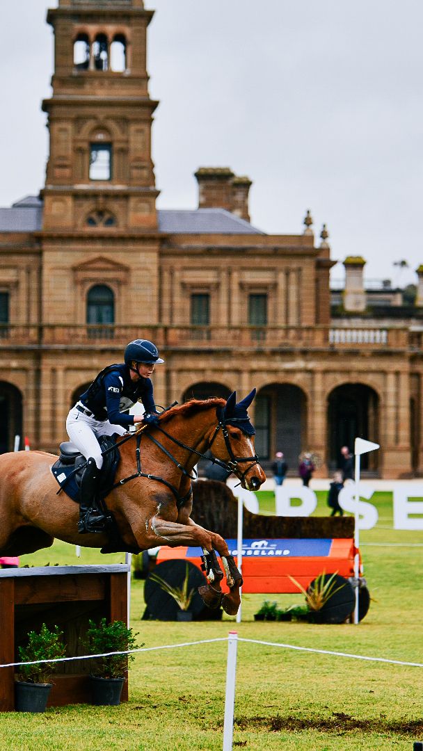 Horse and rider jumping over obstacle with historic sandstone building in background.