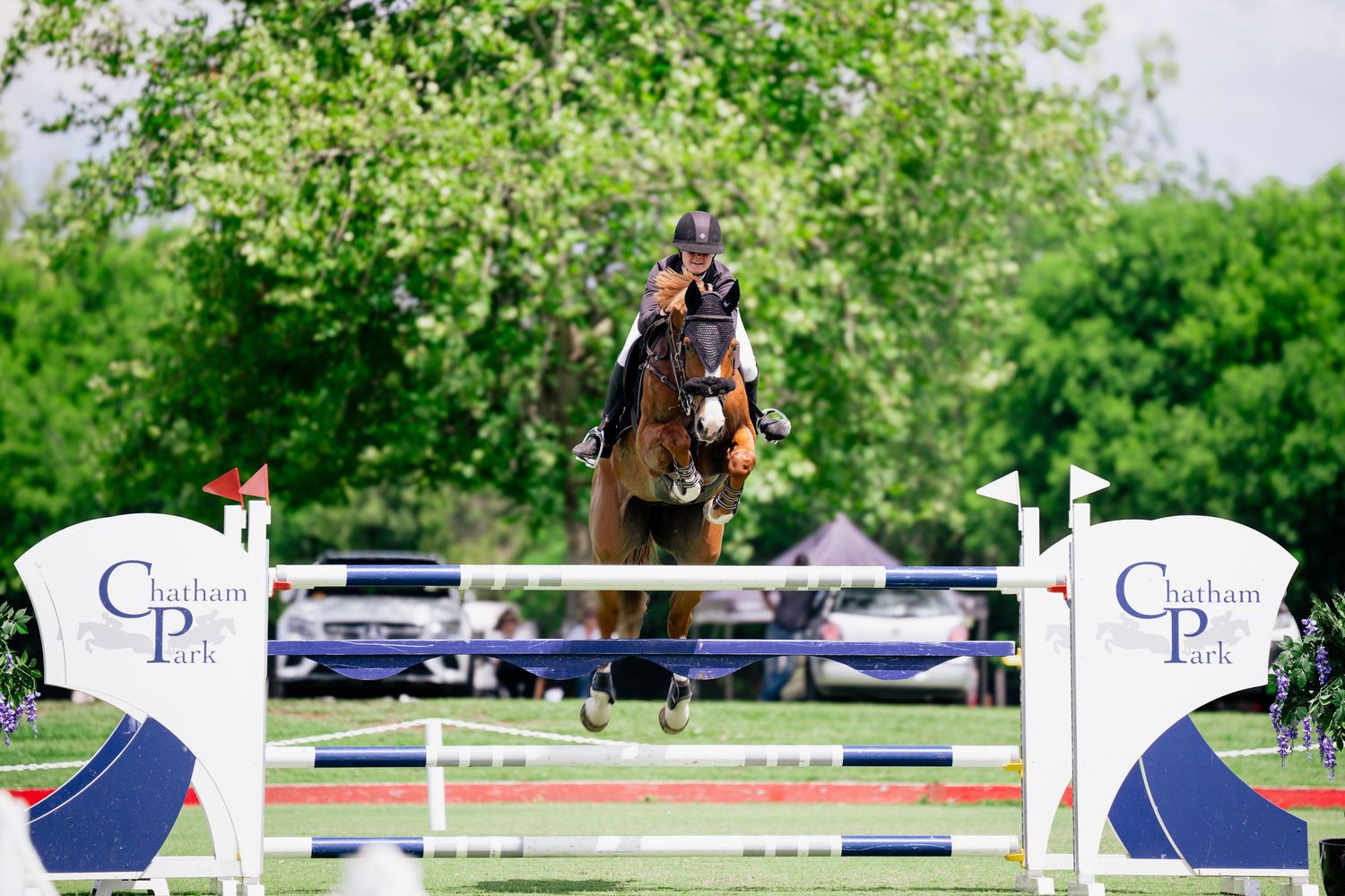 Equestrian rider performs a jump sequence over multiple white and blue obstacles during a competition course.
