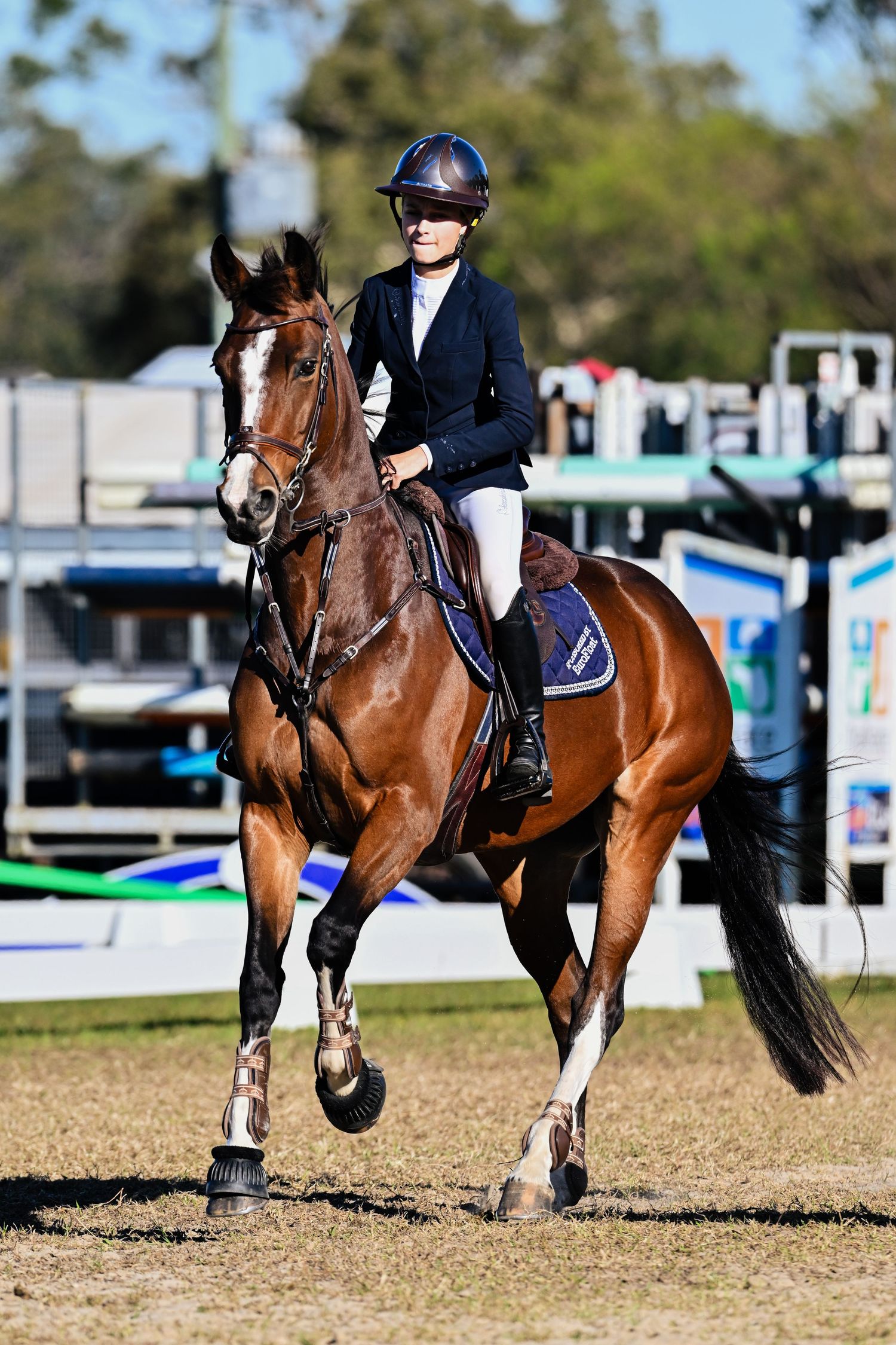Equestrian rider in navy jacket riding bay horse cantering during competition.