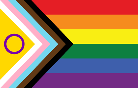 Pride flag variations showing inclusive designs with rainbow stripes and additional chevron patterns.